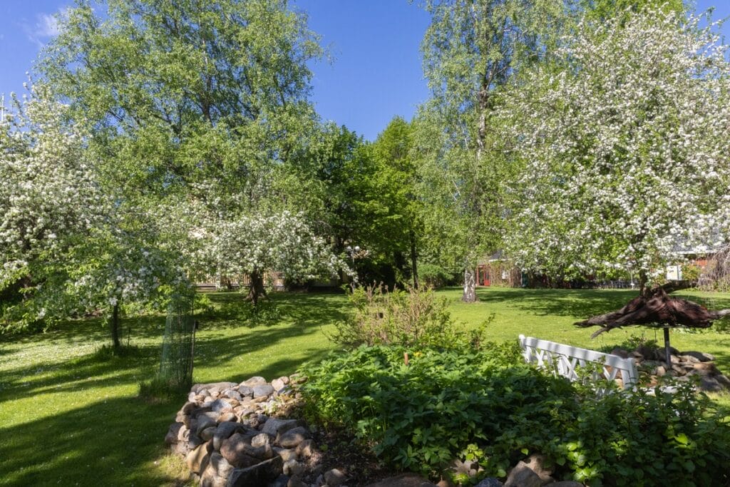 Arboretum Frickin alkukesää