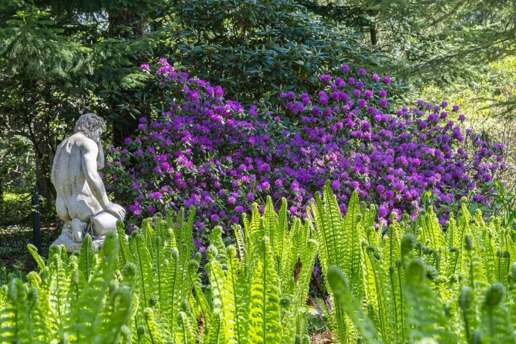 Arboretum Frick keväällä